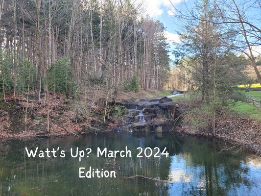 Watt's Up? March 2024 Edition
