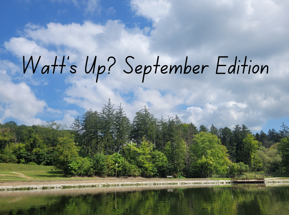 Watt's Up? September Edition