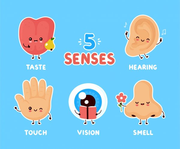 5 Ways I'm Using My 5 Senses